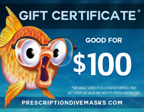 Gift Certificate Good for $100
